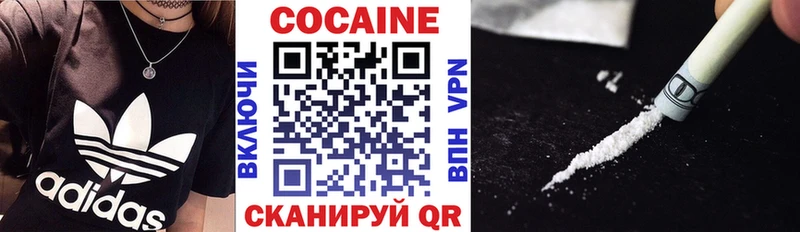 Купить закладки  Приморск  COCAIN Fish Scale 