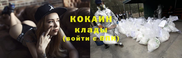 твердый Мегион