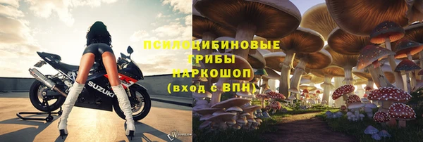 МДПВ Медвежьегорск