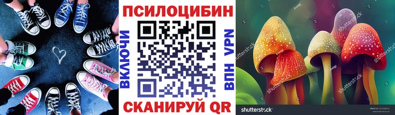 Галлюциногенные грибы прущие грибы  Купить где  Приморск 