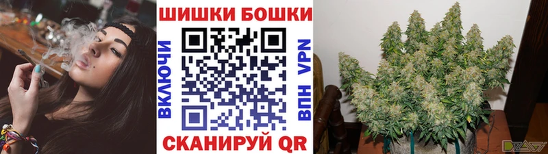 Конопля план  Купить закладки  Приморск 